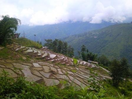 Cheap and best home stays in Darjeeling Cheap and best home stays in Darjeeling