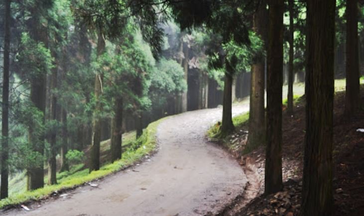 Trek to Tiffin Dara Reshyap Kalimpong Trek to Tiffin Dara Reshyap Kalimpong