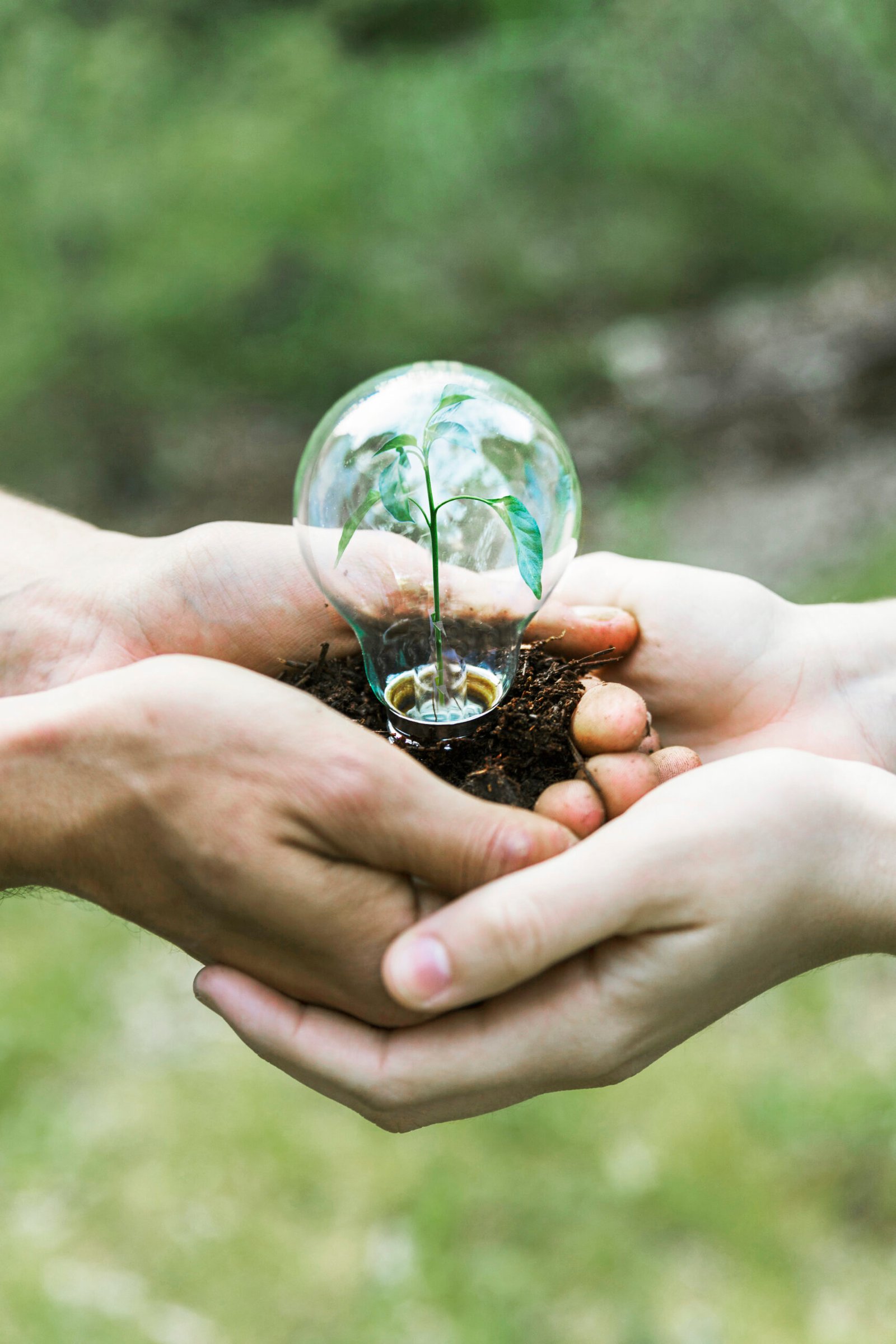 Celebrating World Environment Day: Small Actions, Big Impact Celebrating World Environment Day: Small Actions, Big Impact